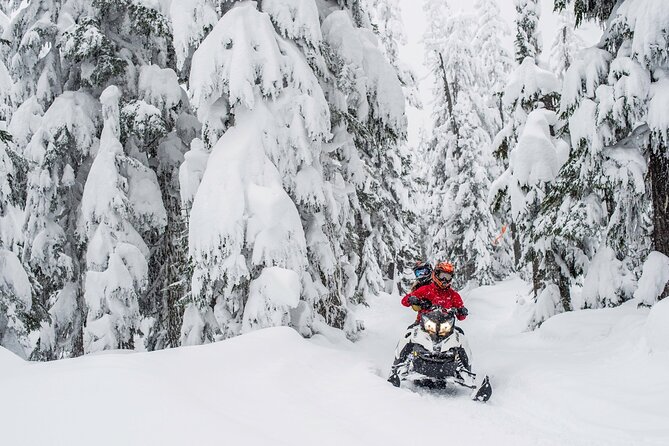 Whistler Wilderness Run Snowmobile Tour - Tips for Participants