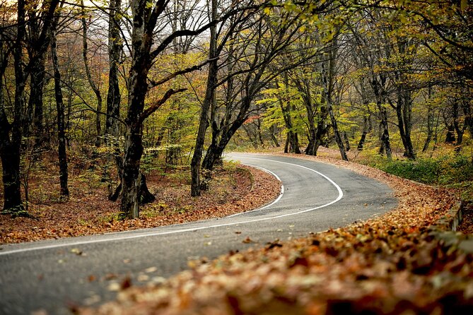 Whole Day Wine Tour to Kakheti From Tbilisi - Tour Pricing and Payment Options
