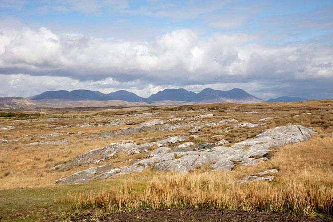 Wild Red Deer Viewing Safari, Connemara. Guided 3hrs - Reviews and Feedback