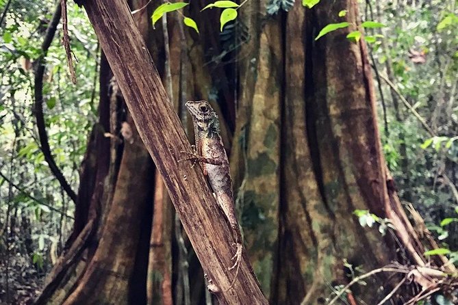 Wild Wonders Of Sri Lanka | 7 Days - Transportation Details
