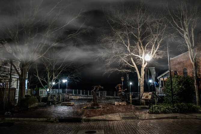 Wilmington Ghosts: Phantoms of Pirates and Patriots Tour - Navigating the Tour Experience