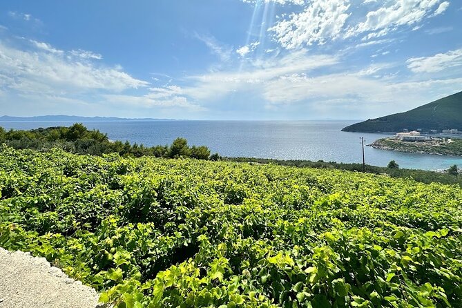 Wine and Gastro Private Tour in Peljesac - Booking Information