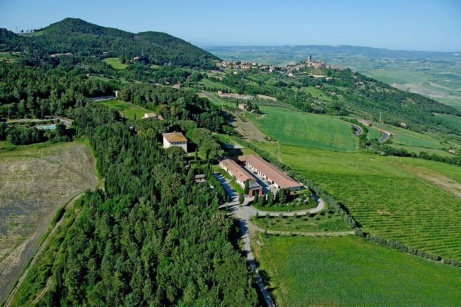 Wine Tasting and Guided Tour of the Cellar - The Sum Up