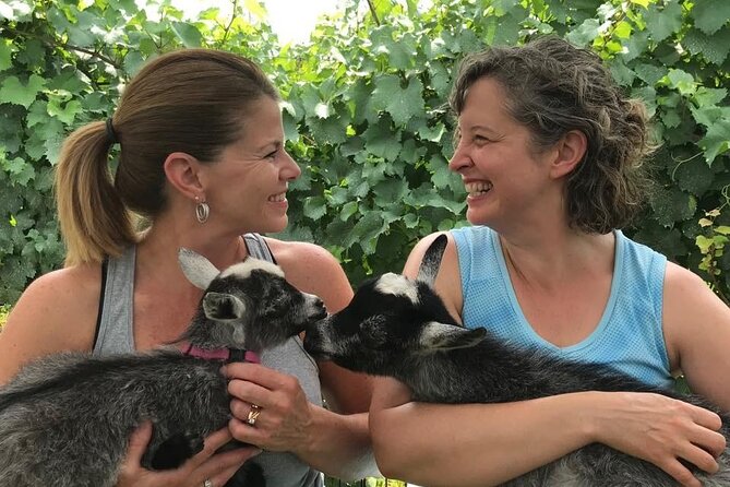 Wine Tasting and Nigerian Dwarf Goats Experience - Photo Opportunities