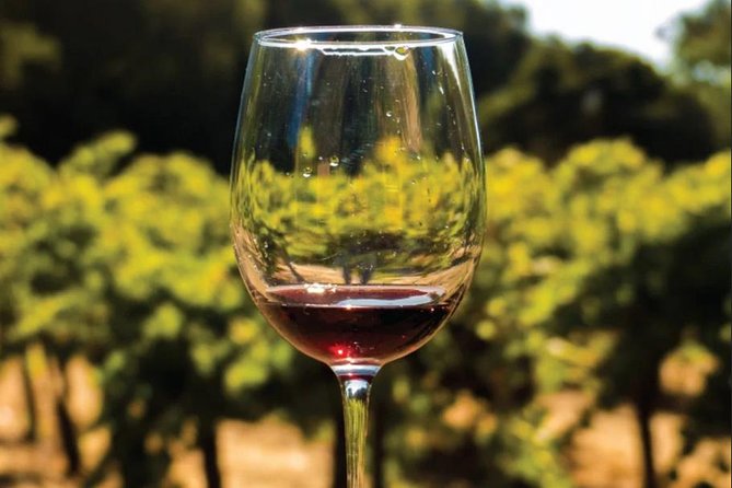 Wine Tasting: Full-Day Wine Tour in Kakheti (ALL INCLUSIVE) - Winery Exploration