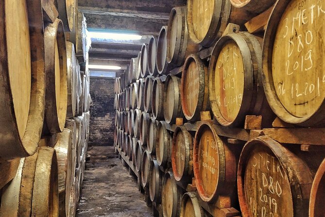Wine Tasting Private Tour & the Royal Palace in Sinaia From Bucharest - Starter: Cold Cuts and Cheeses