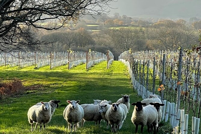 Wine Tasting Tour in Sussex by Bike or Car! (Self-Guided) - Meeting Point