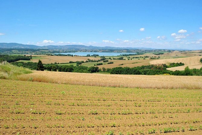 Wine Tasting & Tour Premium - Cancellation Policy