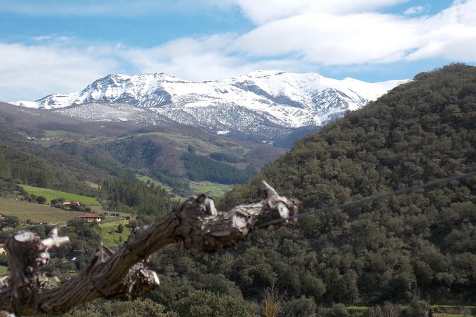Wine Tour and Tasting With a Lot of Flavour - Tips for an Enjoyable Tour