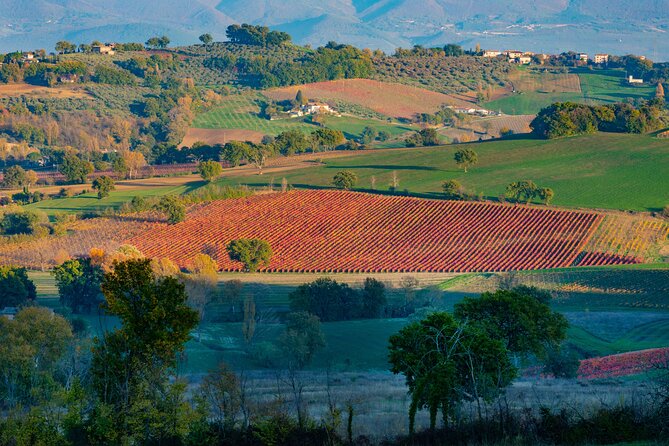 Wine Tour in Umbria Along the Sagrantino Trail With Light Lunch - Booking and Cancellation