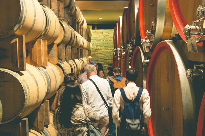 WINE TOUR - SALENTO and PUGLIA - Sampling Renowned Wines