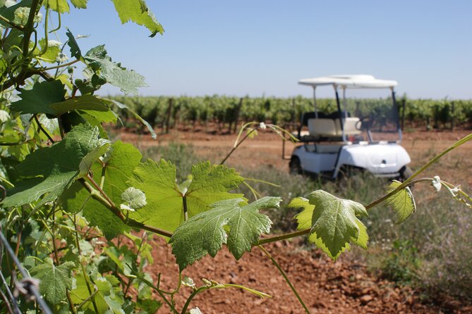 Wine Tourism: Wine Tasting - Traveler Feedback and Ratings