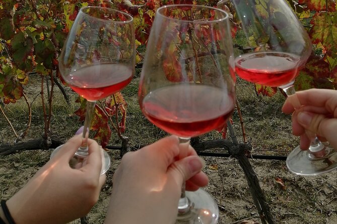 Winery Tour and Wine Tasting in Calabria - Meeting Point and Transportation Details