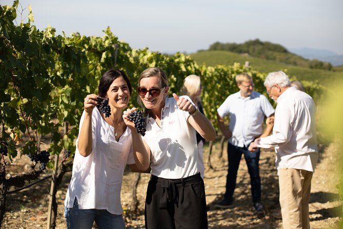 Winery Tour & Gourmet Tasting in Montalcino - Duration and Accessibility