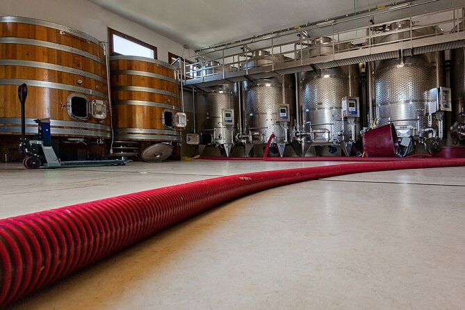 Winery Tour With Wine and Food Tasting in Nuoro - What to Expect