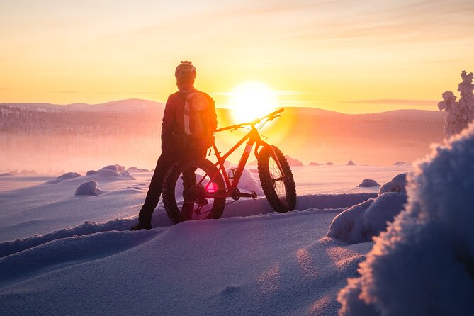 Winter Afternoon Group Ride in Saariselkä - Customer Feedback and Ratings