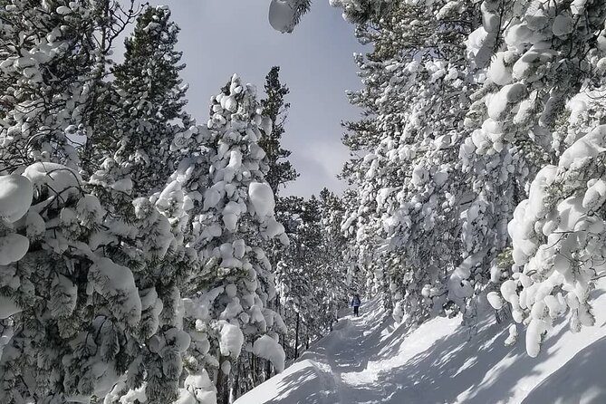 Womens Snowshoeing Tour Mills Lake Rocky Mountain National Park - Things To Known
