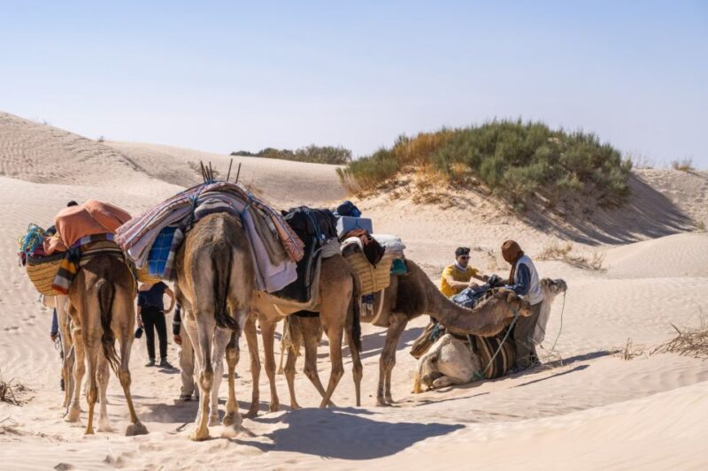 Wonders of Tunisia - 8 Day Tour - Activities and Experiences