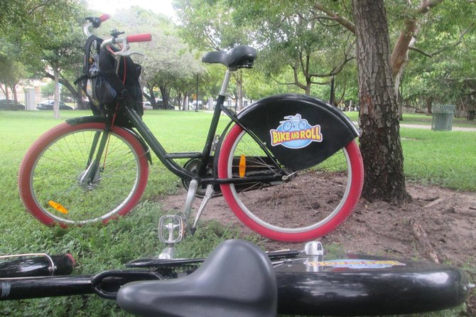 Wynwood Graffiti Electric Bike Tour - Tour Quality and Participant Feedback