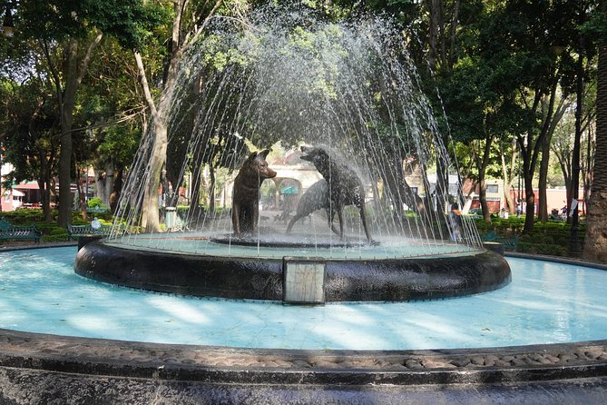 Xochimilco, Coyoacán and Frida Kahlo Museum Private Tour - Booking and Additional Information