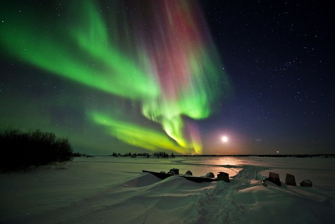 Yellowknife Tours - Aurora by Bus - Guest Experiences and Highlights