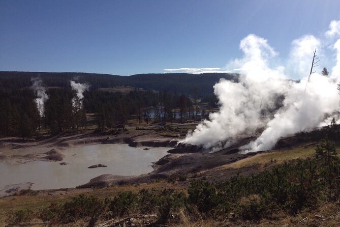 Yellowstone For Kids All-inclusive"Family Fun" Tours PU Cody Wy - Accessibility Information