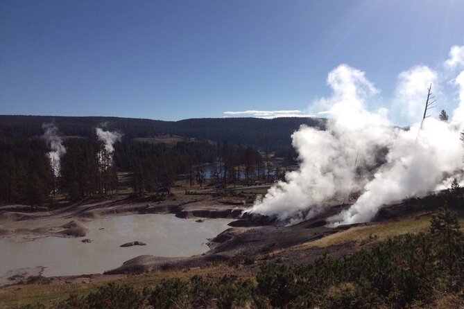 Yellowstone for Kids Family Fun Tour W/Pu in West Yellowstone - Accessible and Pet-friendly Experiences