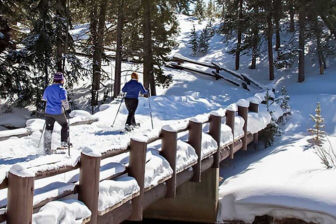 Yellowstone & Grand Teton National Parks Private Winter Tour 5-Day - Cancellation Policy