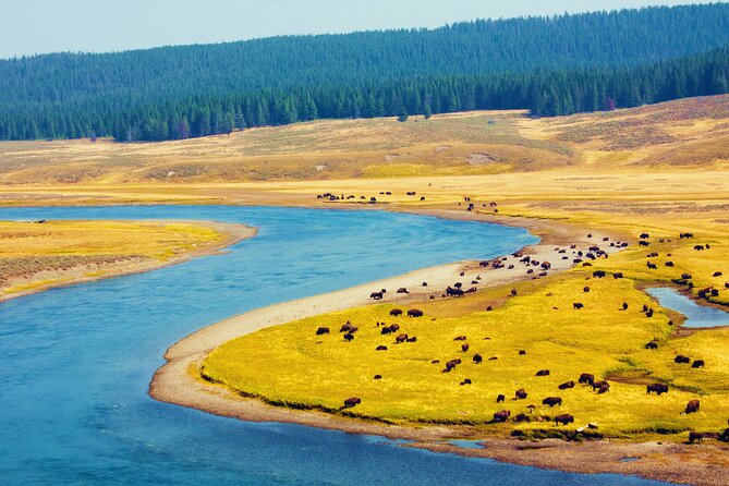 Yellowstone & Grand Teton National Parks: Small Group 3-Day Tour - Pickup and Drop-off Details