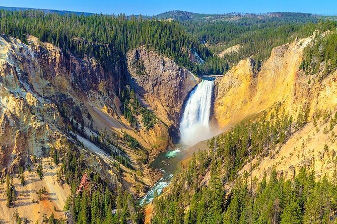 Yellowstone Lower Loop VIP Full-Day Private Tour With Lunch - Highlights From Customer Reviews
