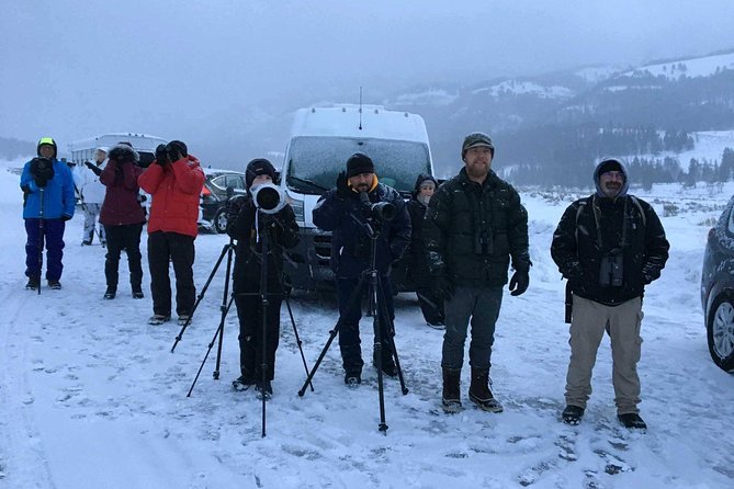 Yellowstone Wolves and Winter 4day/3night Adventure From Montana - Included Amenities and Services