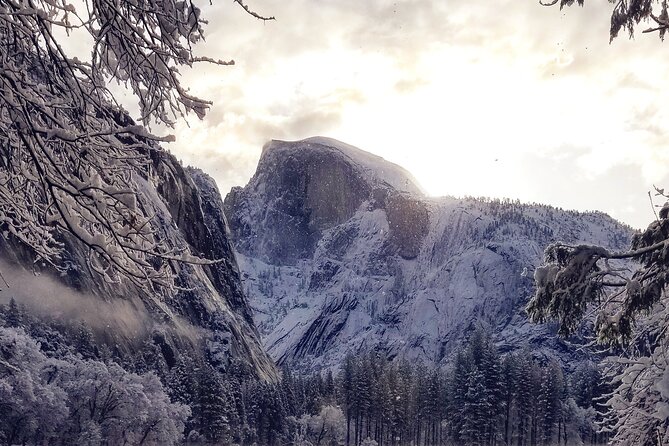 Yosemite Winter Highlights Small Group Tour - Traveler Reviews and Ratings