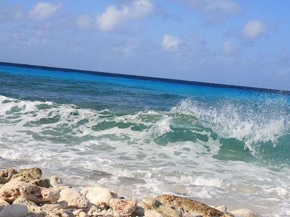 Your Guide Private Tour (North and South) Customize - Exploring Bonaires History and Culture