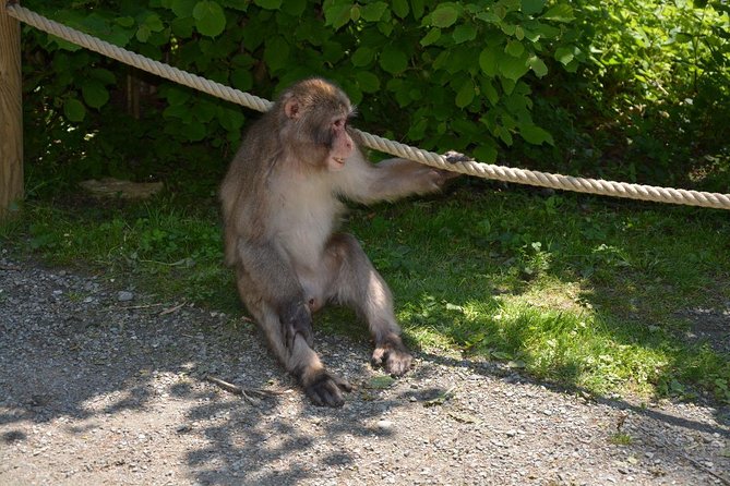 Zagreb - Monkey Park (Affenberg) - Klagenfurt - Minimundus - Transportation and Pickup