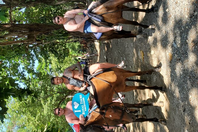 Zipline and Horseback Ride Experience - Tour Schedule and Details