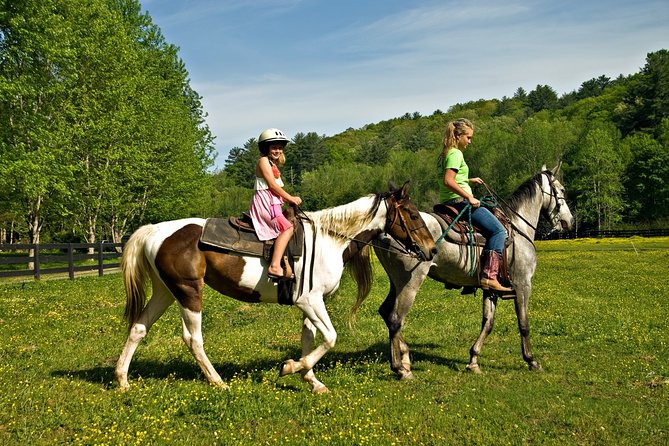 Zipline Canopy Tour & Horseback Riding Combo. Private Tour From San Jose - Cancellation and Confirmation Policy