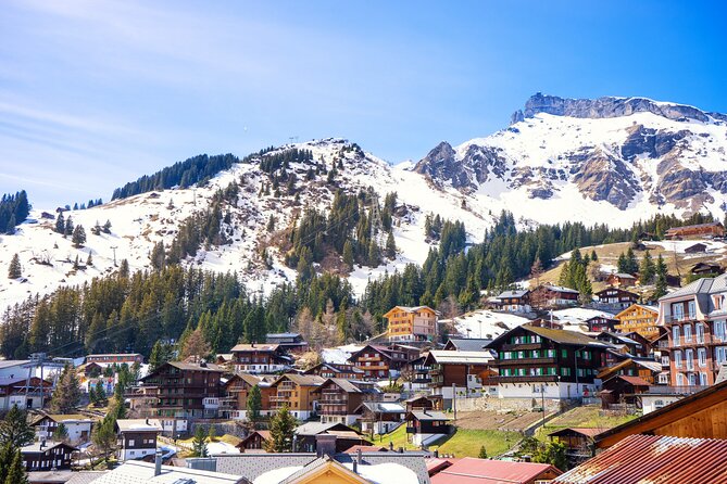 Zurich: Private Daytrip to Swiss Villages (Interlaken-Grindelwald) - Transportation and Logistics