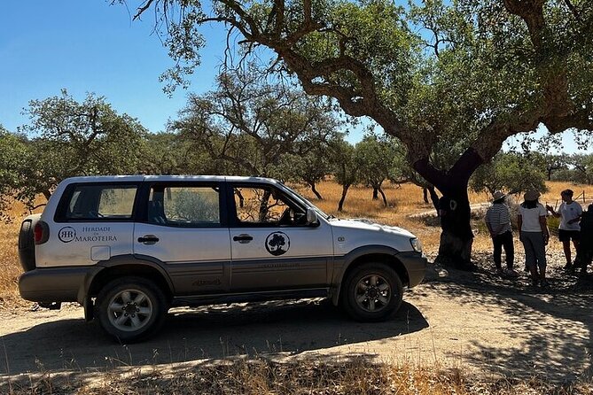 4x4 Cork Tour With Optional Lunch - Good To Know