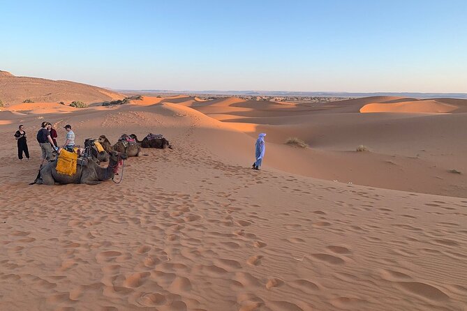 4×4 Jeep Desert Safari Tour With Lunch and Camel Ride - Tour Schedule and Accessibility
