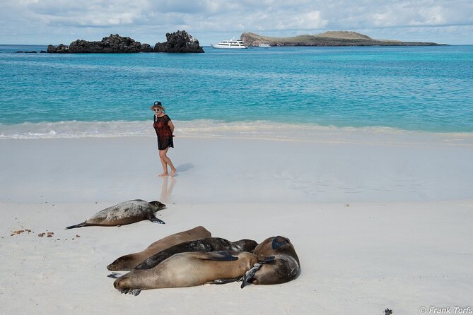 5 Day Galapagos Islands Cruise on Board the Seaman Journey 2025 - Exploring the Galapagos Archipelago