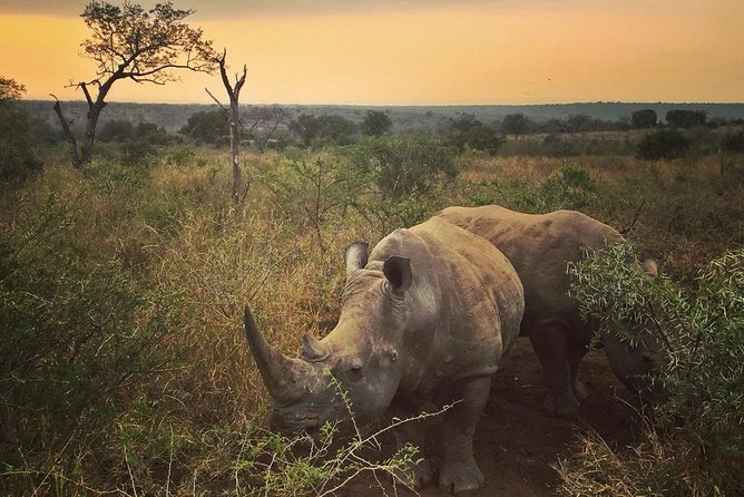 5 Day Kruger National Park and Panorama Route Safari - Good To Know