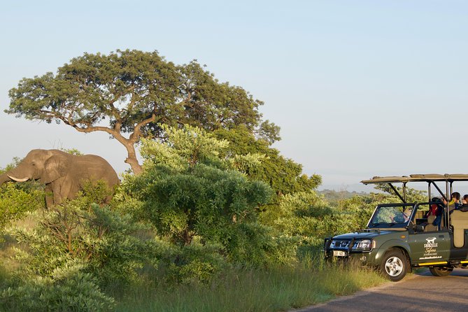 5-Day Kruger National Park Safari Including Breakfast and Dinner - Good To Know