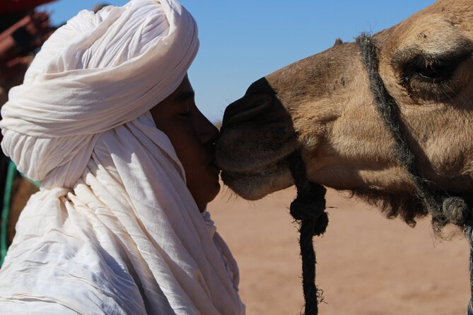 5-Day Trek - in the Draa Valley - Overview of the Trek