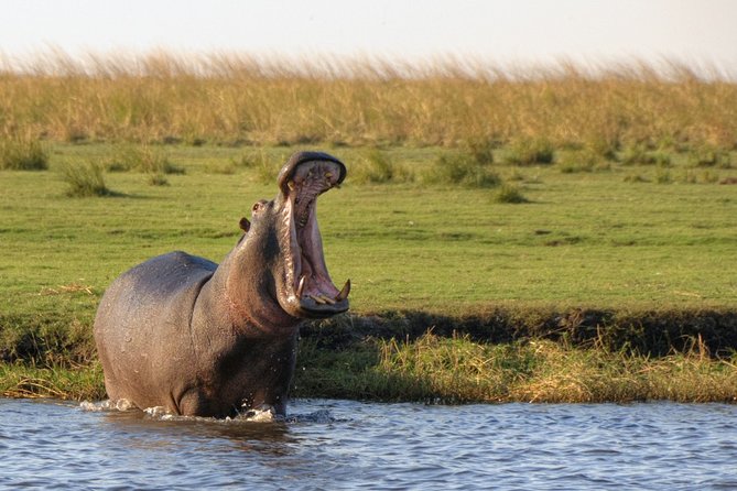 5-DAY Victoria Falls and Chobe National Park - Key Points
