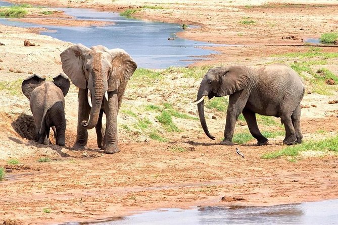 5 Days Ruaha National Park Safari - Good To Know