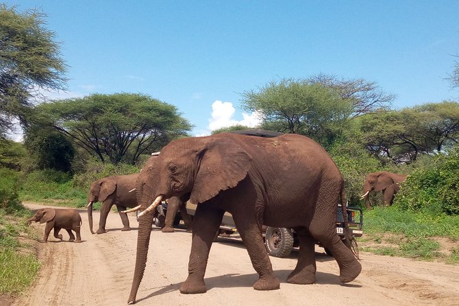5 Days Safari From Dar Es Salaam to Tarangire NP, Manyara NP & Ngorongoro Crater - Safari Itinerary