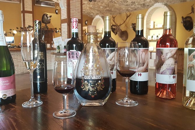 5-Hour Private Tour From Alicante to Villena - Tour Overview