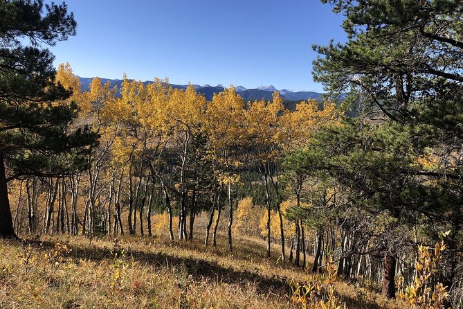 5 Hours Winter Wonderland Guided Hike to Fullerton Loop - Meeting Point and Directions