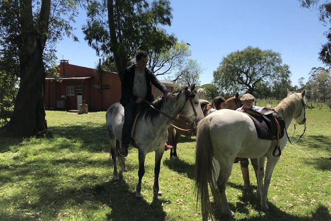1.5 Hr Horseback Riding Montevideo, Uruguay, With Transportation