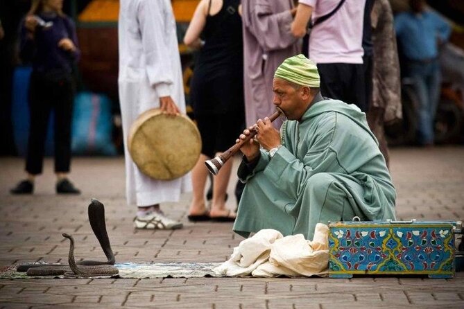 1 Day Guided Tour in Marrakech From Agadir - Exploring Marrakechs Landmarks